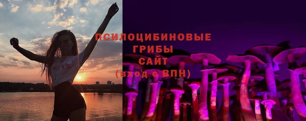 кокс Алексин