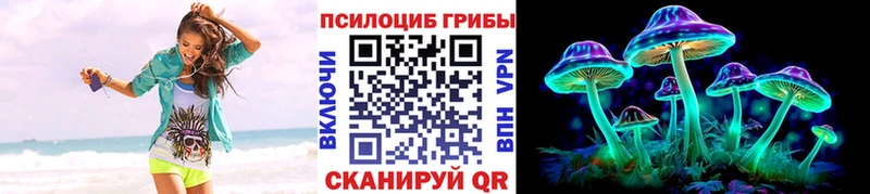 OMG ТОР  Чкаловск  Псилоцибиновые грибы Cubensis 